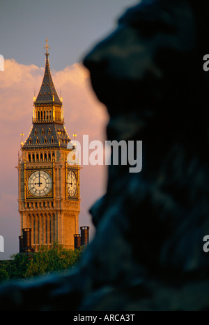 Il Big Ben e la statua di Lion su Trafalgar Square a Londra, Inghilterra Foto Stock
