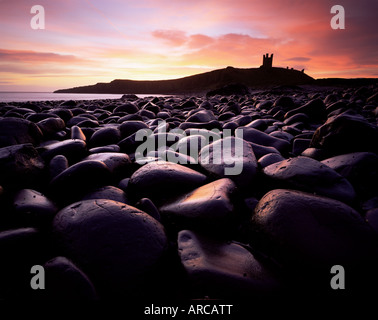 Il castello di Dunstanburgh all alba da Boulderfield a Embleton Bay, Northumberland (Northumbria), Inghilterra, Regno Unito, Europa Foto Stock