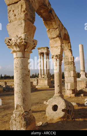 Aanjar, Umayyad rimane, Bekaa Valley, Libano, Medio Oriente Foto Stock