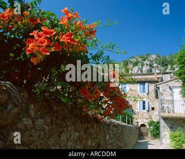 Fiori arancioni sovrastante borgo stretto street, Vogue, Ardeche, Rhone-Alpes, Francia, Europa Foto Stock