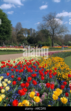 London Hyde Park, vicino a Hyde Park Corner primavera visualizzazione dei fiori con Hilton hotel oltre Foto Stock