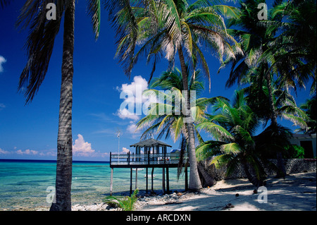 Ristorante Waterside sotto le palme, uomo vecchio Bay, Grand Cayman, Isole Cayman, West Indies, dei Caraibi e America centrale Foto Stock