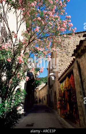 Riempito di fiori village street, San Guilhem-le-deserto, Herault, Languedoc-Roussillon, Francia, Europa Foto Stock