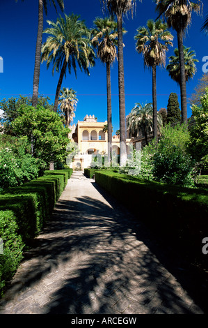 I giardini di Reales Alcazares (Alcazar), Siviglia, in Andalusia (Andalusia), Spagna, Europa Foto Stock