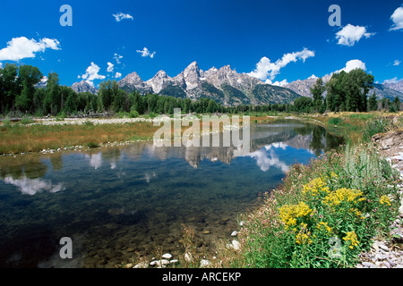 Vista da Schwabacher's Landing attraverso il Fiume Snake al Teton Range, il Parco Nazionale del Grand Teton, Wyoming USA Foto Stock