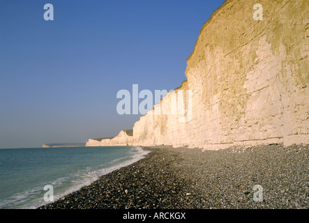 Le sette sorelle chalk cliffs visto dalla spiaggia di Birling Gap, East Sussex, England, Regno Unito Foto Stock