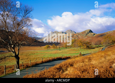 Langdale Pikes da Blea Tarn, Parco Nazionale del Distretto dei Laghi, Cumbria, England, Regno Unito Foto Stock