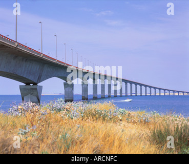Francia-POITOU CHARENTES ILE DE RE PONT DE L' ILE DE RE DA RIVEDOUX PLAGE Foto Stock