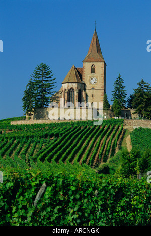 Chiesa e vigneti, Hunawihr, Alsazia, Francia, Europa Foto Stock