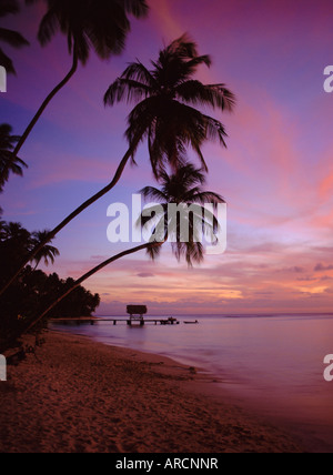 Pigeon Point, Tobago, Caraibi, West Indies Foto Stock