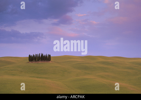 Tipico paesaggio, Toscana, Italia, Europa Foto Stock