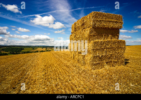 Una pila di balle rettangolari nelle vicinanze del Compton dando, Somerset, Regno Unito Foto Stock