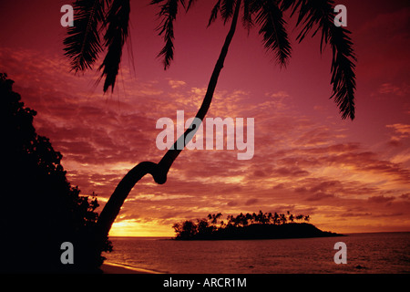 Sagome di alberi di palma e da isola deserta di sunrise, Rarotonga Isole Cook, South Pacific Pacific Foto Stock