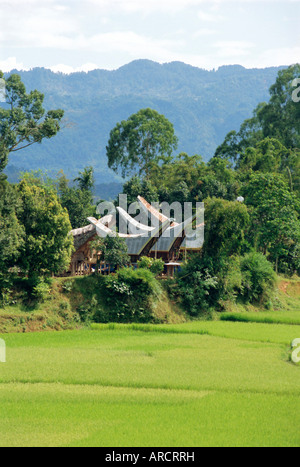Case vicino la montagna più alta di Toraja, Toraja, area di Sulawesi, Indonesia Foto Stock