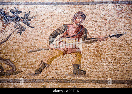 Mosaici di casa di Dionysos, Cipro/ Foto Stock