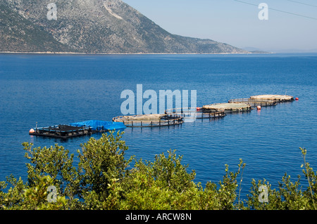 Fattoria di Pesce per le spigole e orate di mare vicino a Vathy (Vathi), Itaca, Isole Ionie, Grecia, Europa Foto Stock