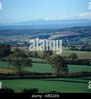 Mid Devon terreni agricoli in autunno gli alberi di Pascoli incolti i campi edifici guardando verso Dartmoor Foto Stock