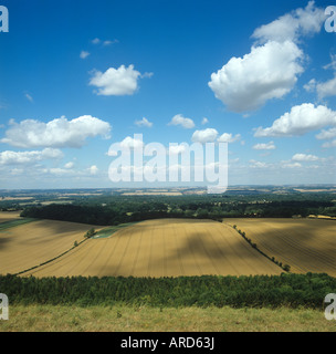 Downland panoramica di mature le colture di frumento e miscelati estate paesaggio con cielo blu e nuvole Foto Stock