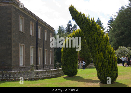 A Bowhill sede della Casa del Duca di Buccleuch vicino a Selkirk in Scottish Borders Regno Unito alberi insoliti Foto Stock