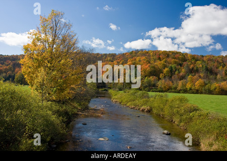 Ramo nord del fiume Deerfield vicino a Weston Vermont Foto Stock