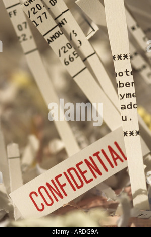 Il furto di identità shredded informazioni personali comunque leggibile visibile Marysville Washington STATI UNITI D'AMERICA Foto Stock