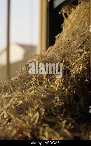 Shredded informazioni personali venuta fuori una trinciatrice indentity furto Marysville Washington STATI UNITI D'AMERICA Foto Stock