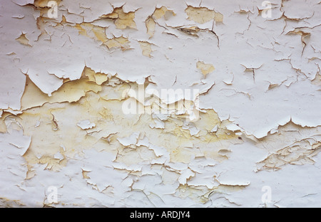 Close up di almeno quattro strati di weathered e sfald vernice tutti i quali sono stati la crema o bianco Foto Stock