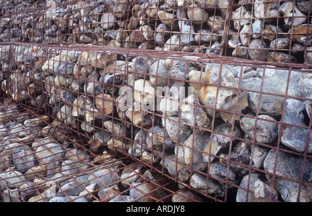 Dettaglio del filo di gabbie o gabions contenenti grandi pietre impilate e intensificato come difesa contro l'erosione costiera Foto Stock