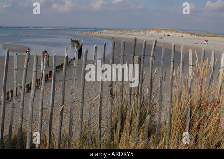 Il delicato dal punto di vista ambientale di sputo di dune di sabbia all'ingresso al porto di Chichester noto come testata est Foto Stock