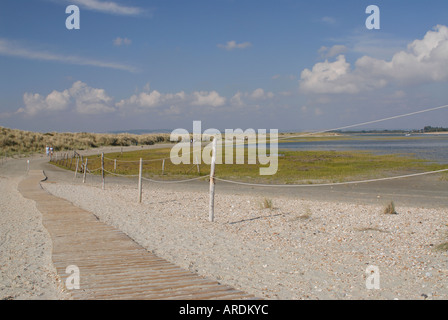 Il delicato dal punto di vista ambientale di sputo di dune di sabbia all'ingresso al porto di Chichester noto come testata est Foto Stock