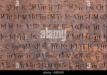 Intagliato script cuneiforme a Persepoli Iran Foto Stock