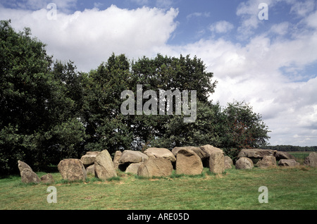 Sleen, Hünengrab, Foto Stock