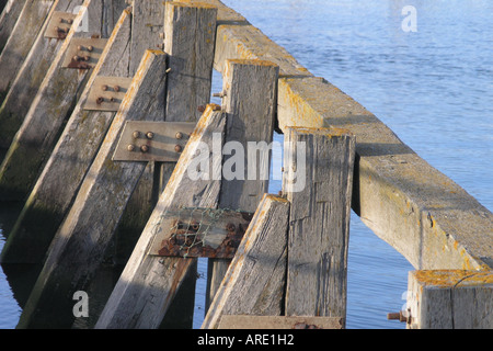 Pennelli di legno in acqua di mare Foto Stock