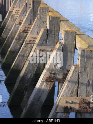 Pennelli di legno in acqua di mare Foto Stock