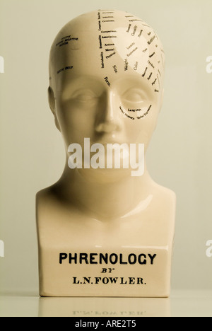 Il Phrenology testa visualizzazione caratteristiche umane Foto Stock