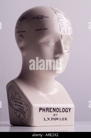 Il Phrenology testa visualizzazione caratteristiche umane Foto Stock