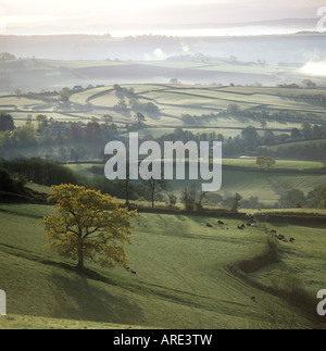 Misty Valley terreni agricoli all'inizio di mattina di primavera in East Devon Foto Stock