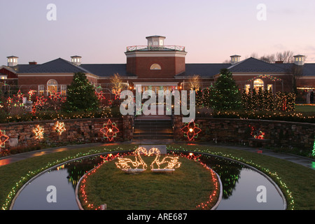 Richmond Virginia, Lewis Ginter Botanical Garden, piante, flora, fiore, fiore, coltivazione, orticoltura, collezione, luci di Natale, VA 121703 0013 Foto Stock