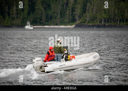 Gioco operai in gommone proteggere orca balene Robson Bight Riserva Ecologica Johnstone Strait isola di Vancouver in Canada Foto Stock