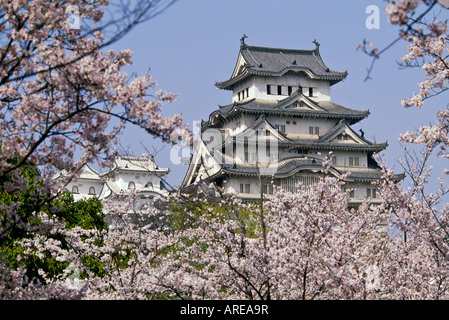 Vista esterna del castello di Himeji in primavera Himeji nella prefettura di Hyogo Giappone Foto Stock