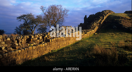 Il sentiero costeggia il vallo di Adriano a balze Walltown nel Parco nazionale di Northumberland, England, Regno Unito Foto Stock