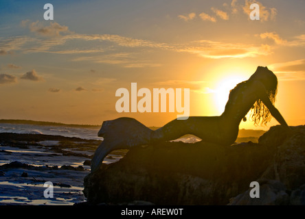 Mermaid su ironshore al tramonto Cozumel Messico Foto Stock