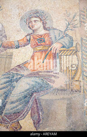 Mosiac House of Dionysos, antico mosaico greco a Cipro Foto Stock