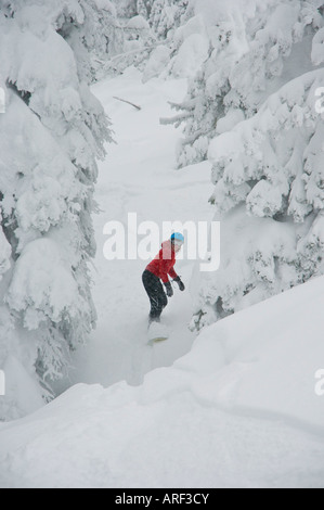 Idaho. Un felice snowboarder gode di una polvere fresca giornata in montagna. Foto Stock