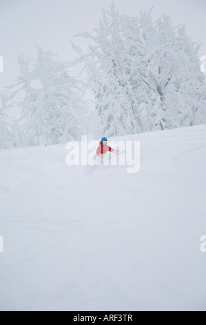 Idaho. Un felice snowboarder gode di una polvere fresca giornata in montagna. Foto Stock