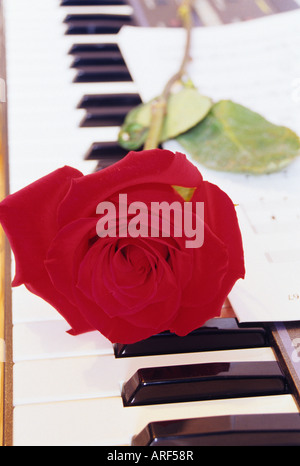 Ancora la vita di una rosa rossa con un libro di musica sul pianoforte Foto Stock