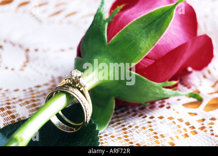 Ancora la vita di una rosa rossa sul pizzo con anelli di nozze sullo stelo Foto Stock