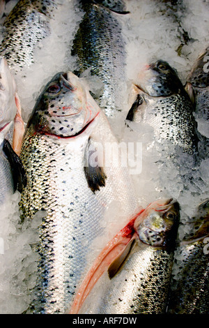Regno Unito Birmingham pesce fresco display a downtown market Foto Stock