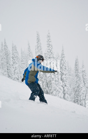 Idaho. Un felice snowboarder gode di una polvere fresca giornata in montagna. Foto Stock