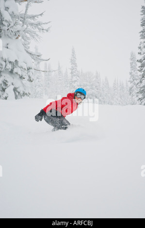 Idaho. Un felice snowboarder gode di una polvere fresca giornata in montagna. Foto Stock